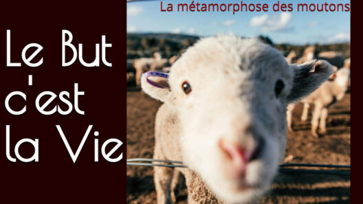 Le But c'est la Vie